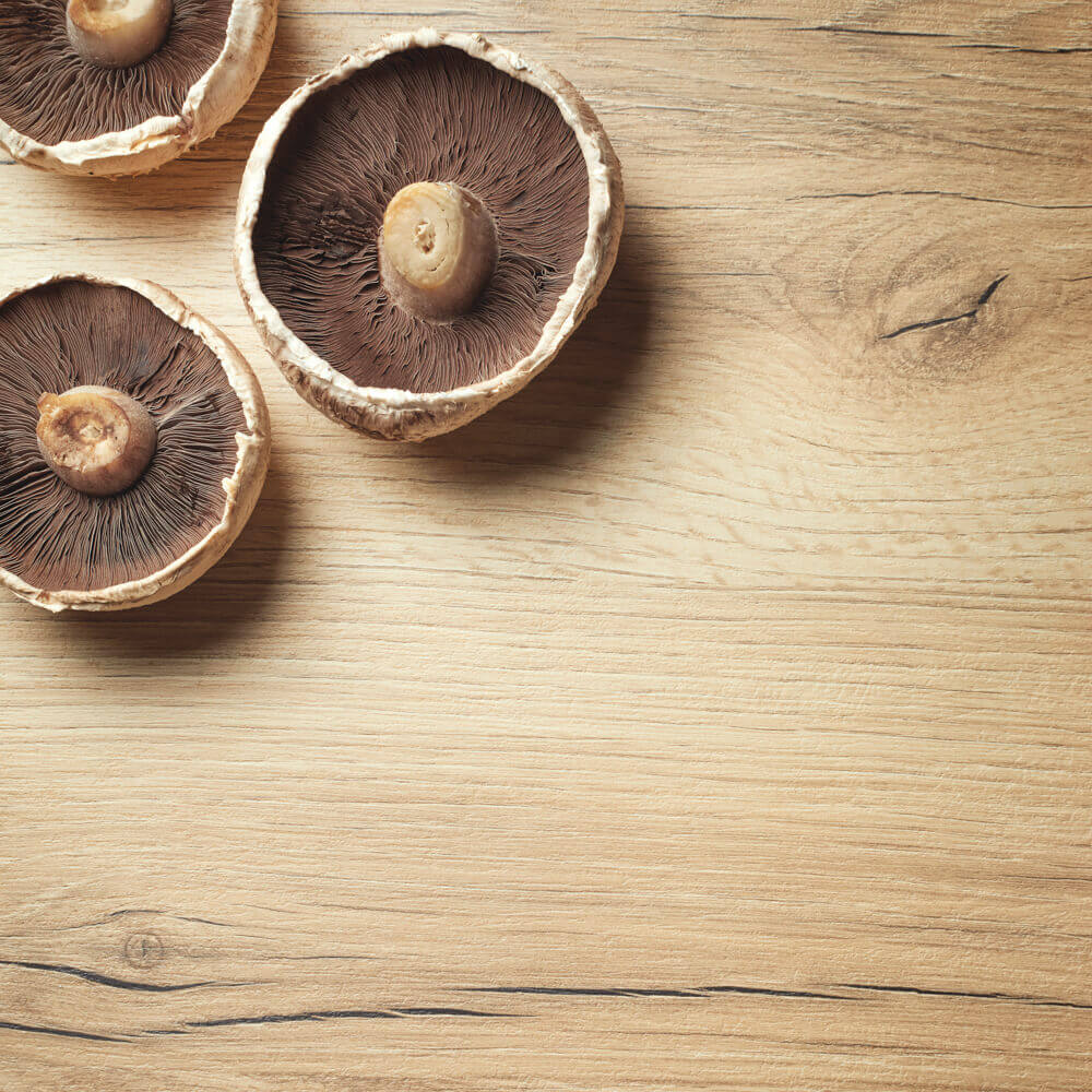 Forest Oak Curved Edge Laminate Kitchen Worktop 20mm