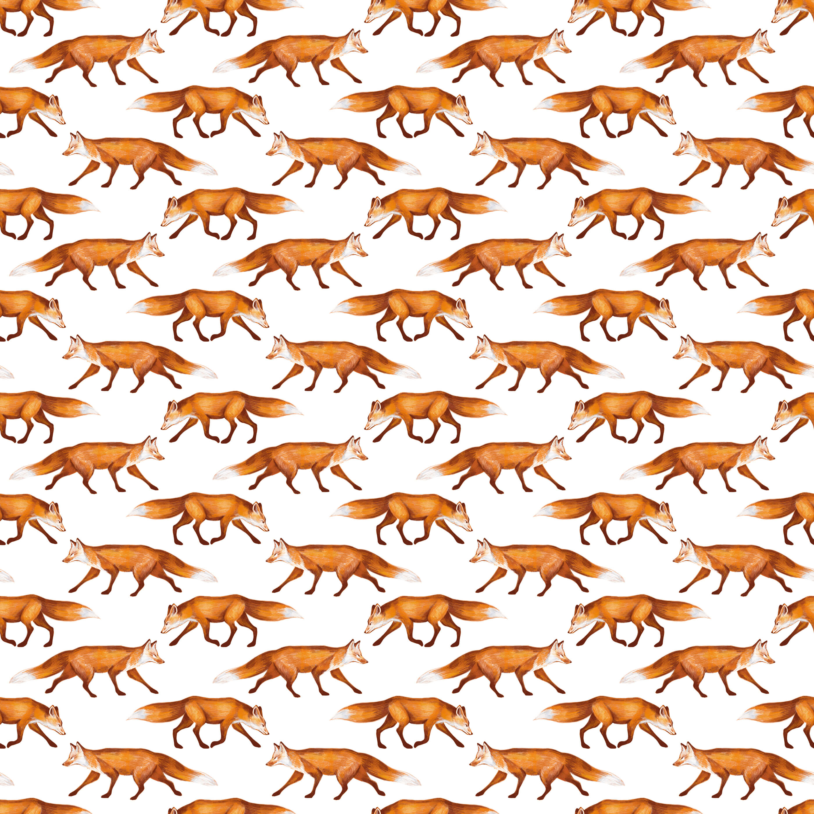 Bobbi Beck Slink Fox Animal Luxury Wallpaper