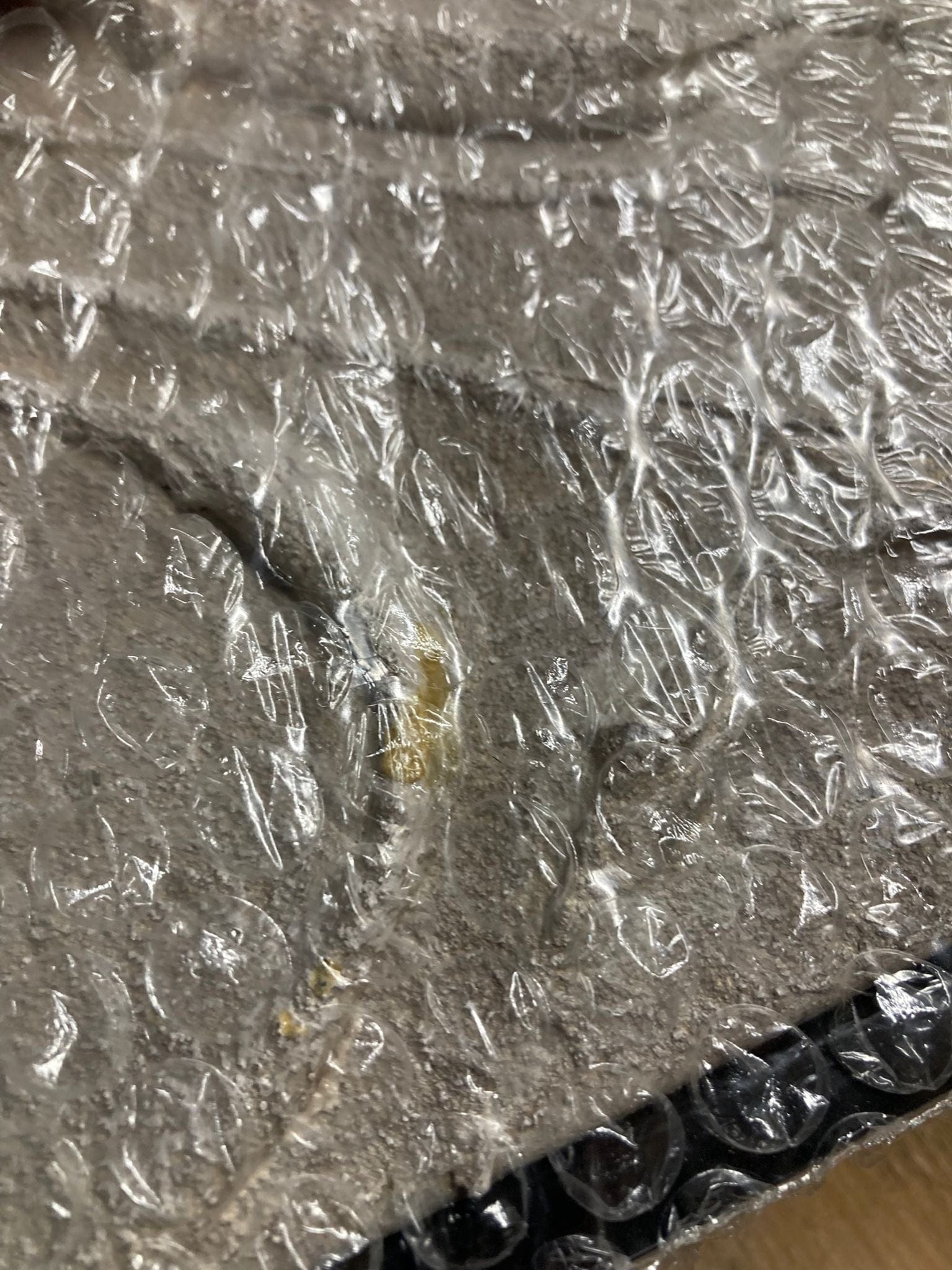 Tommy Franks Gilded II Artwork| OUTLET