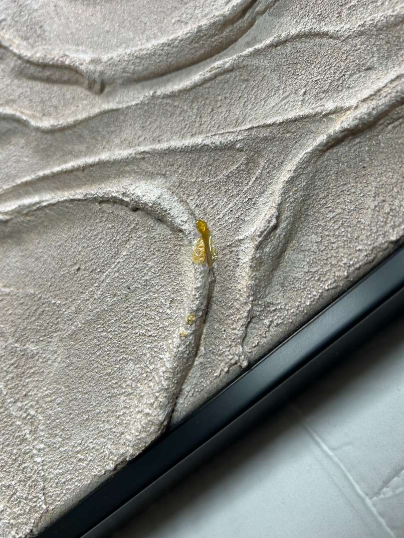 Tommy Franks Gilded II Artwork| OUTLET