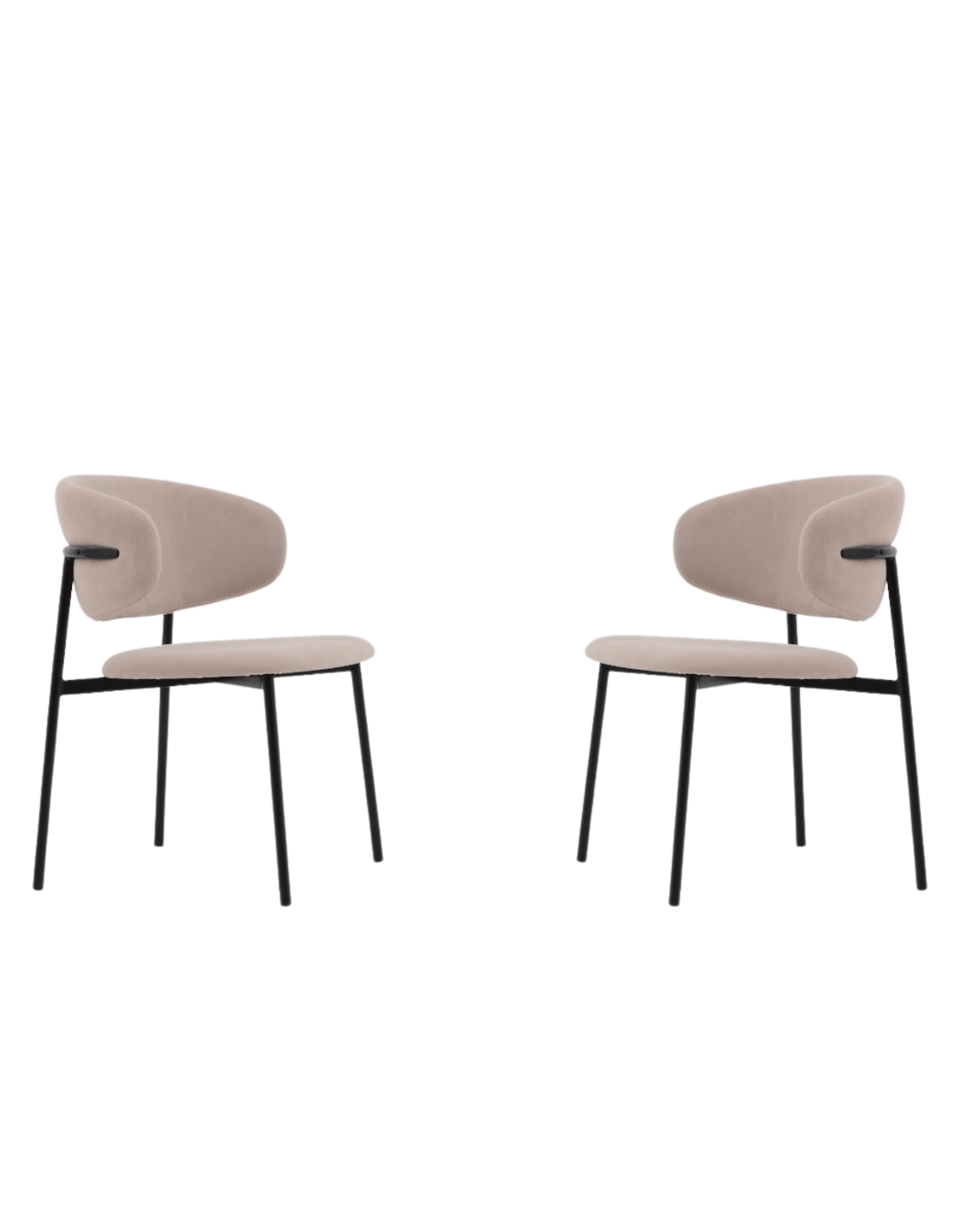Scout Dining Chair - Set of 2