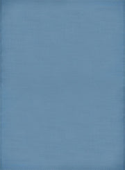 Urban Outdoor Rug Blue | 1000