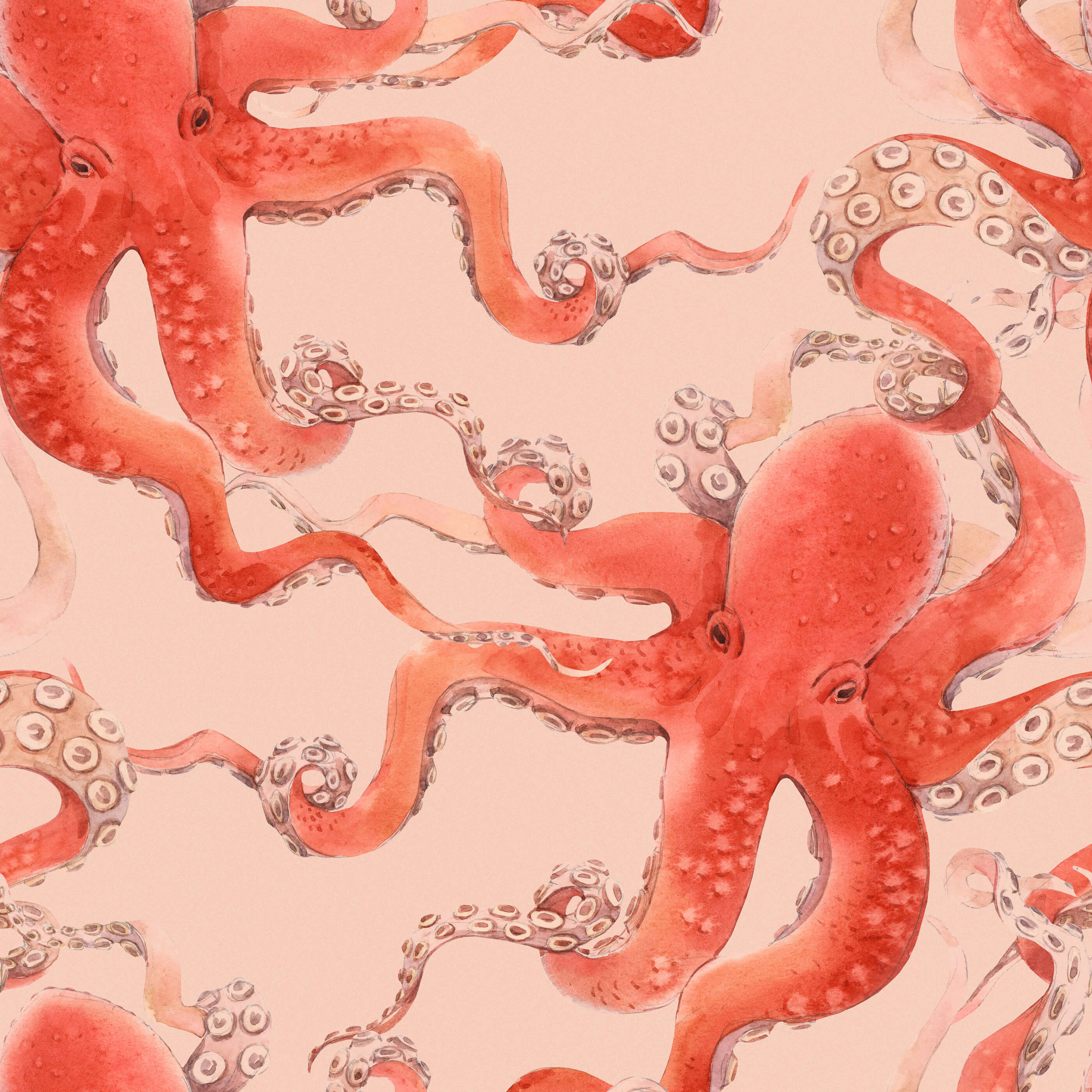 Bobbi Beck Kos Octopus Luxury Wallpaper
