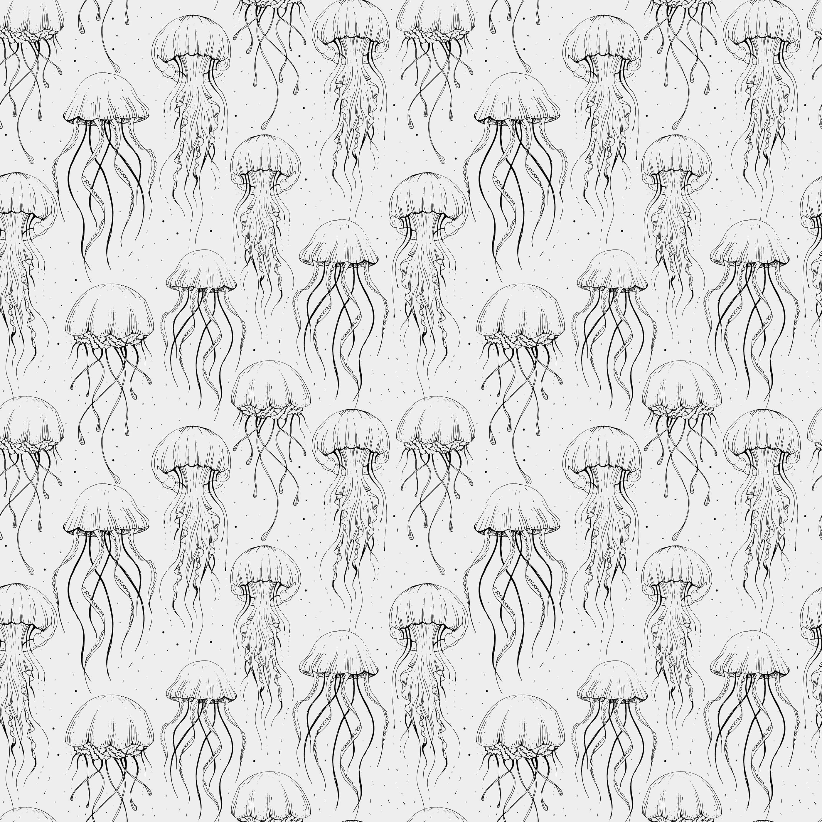 Bobbi Beck Larkom Jellyfish Luxury Wallpaper