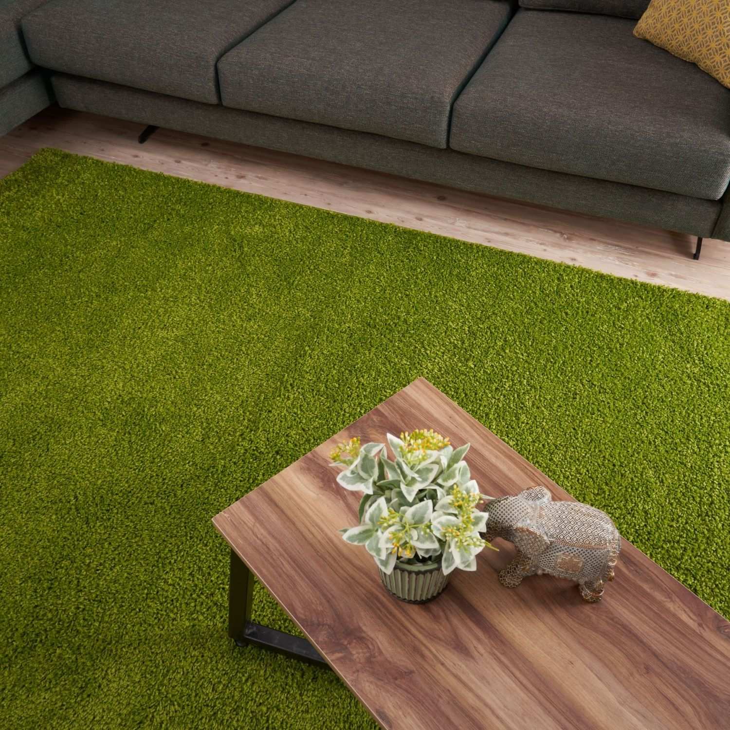 Myshaggy Solid Green Rug
