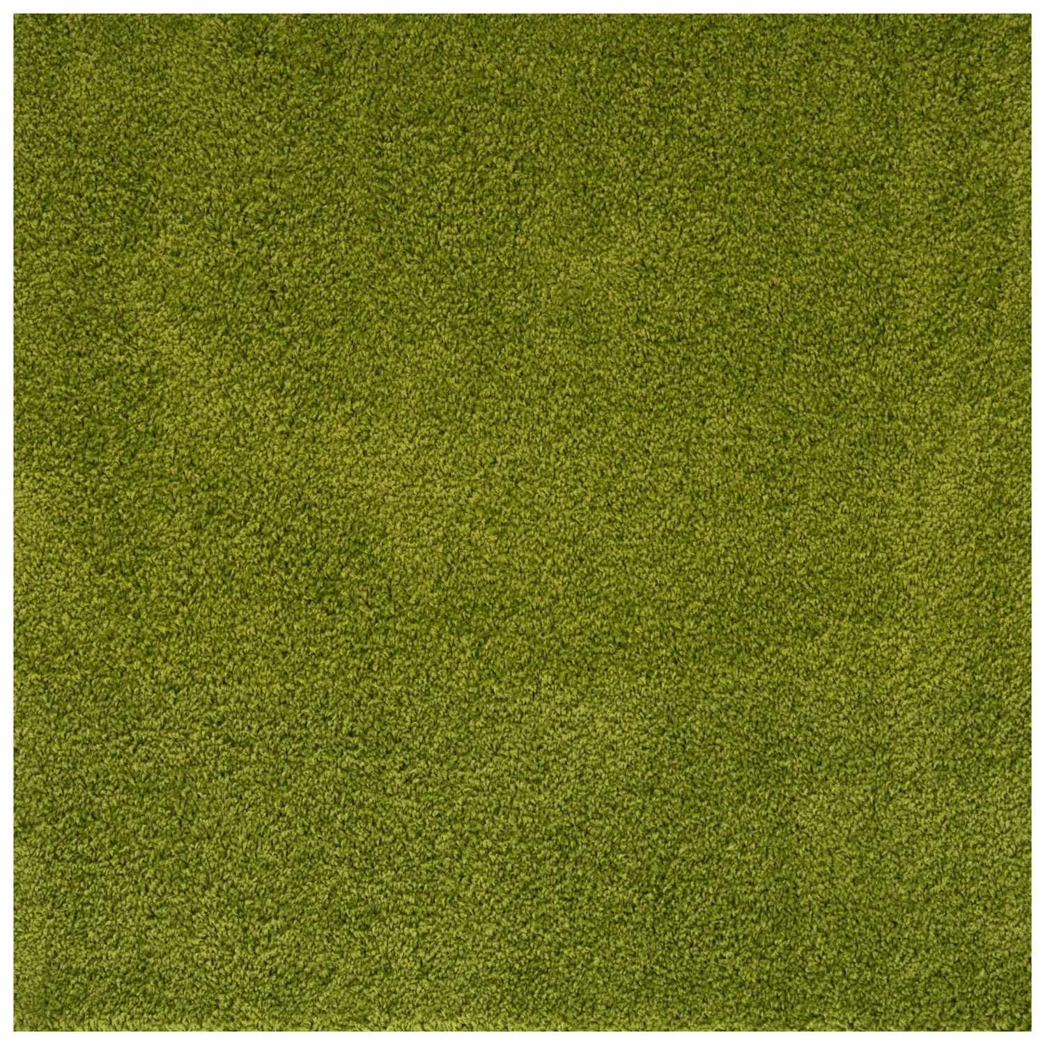 Myshaggy Solid Green Rug