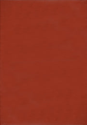Urban Outdoor Rug Terra | 1000