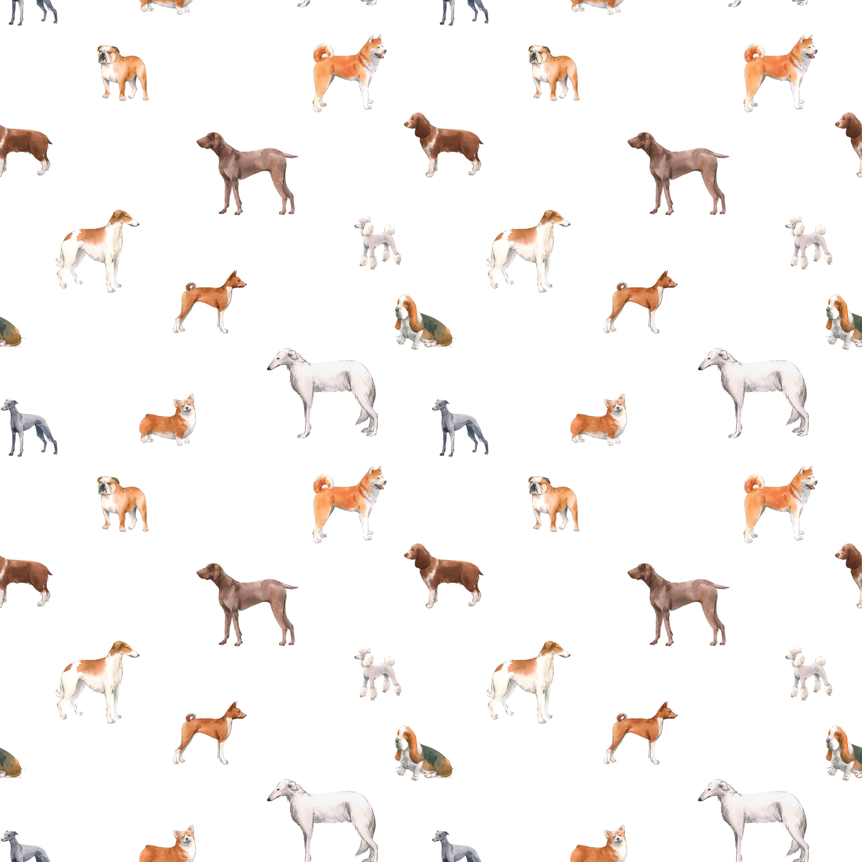Bobbi Beck Walter Dog Animal Luxury Wallpaper