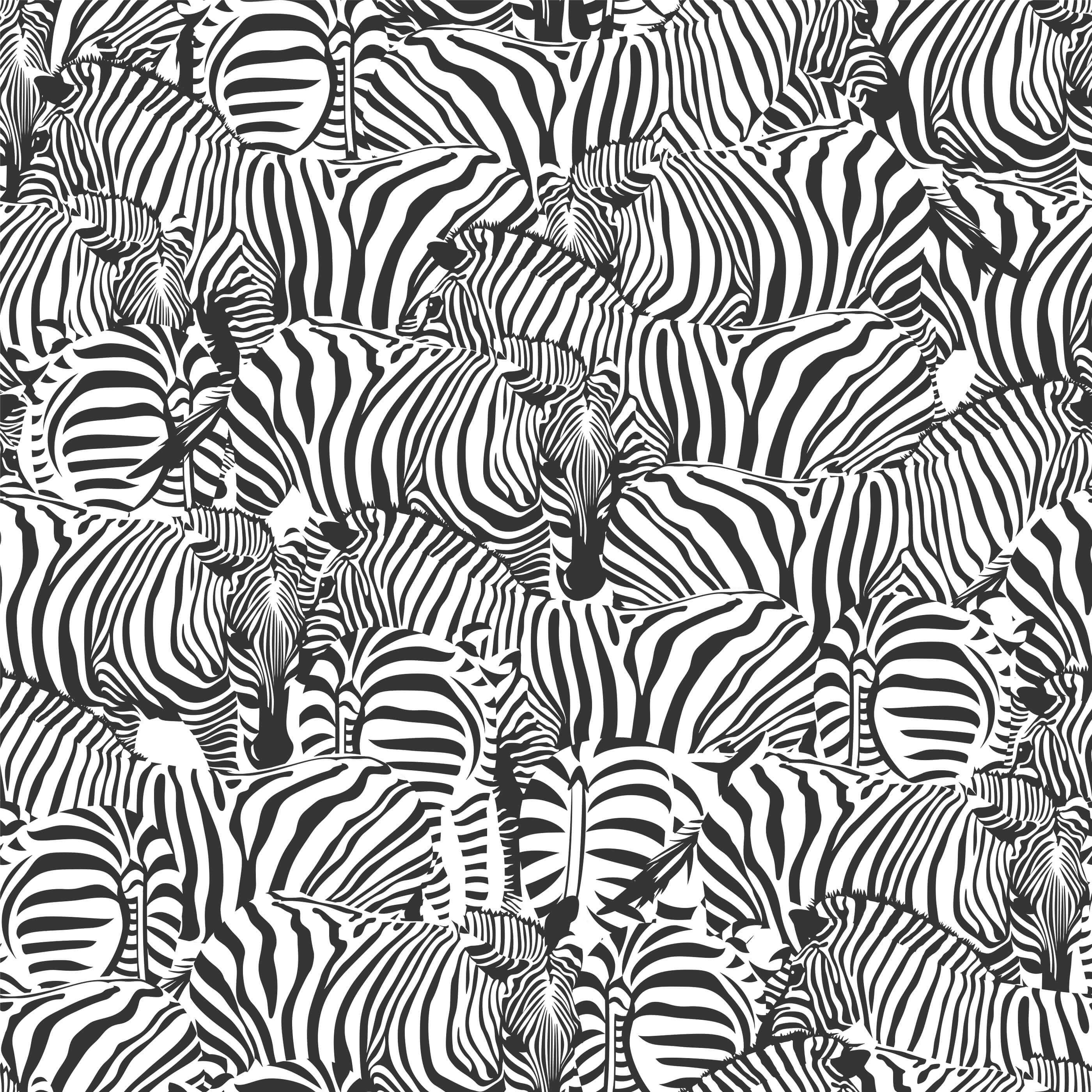 Bobbi Beck Zolta Monochrome Luxury Wallpaper