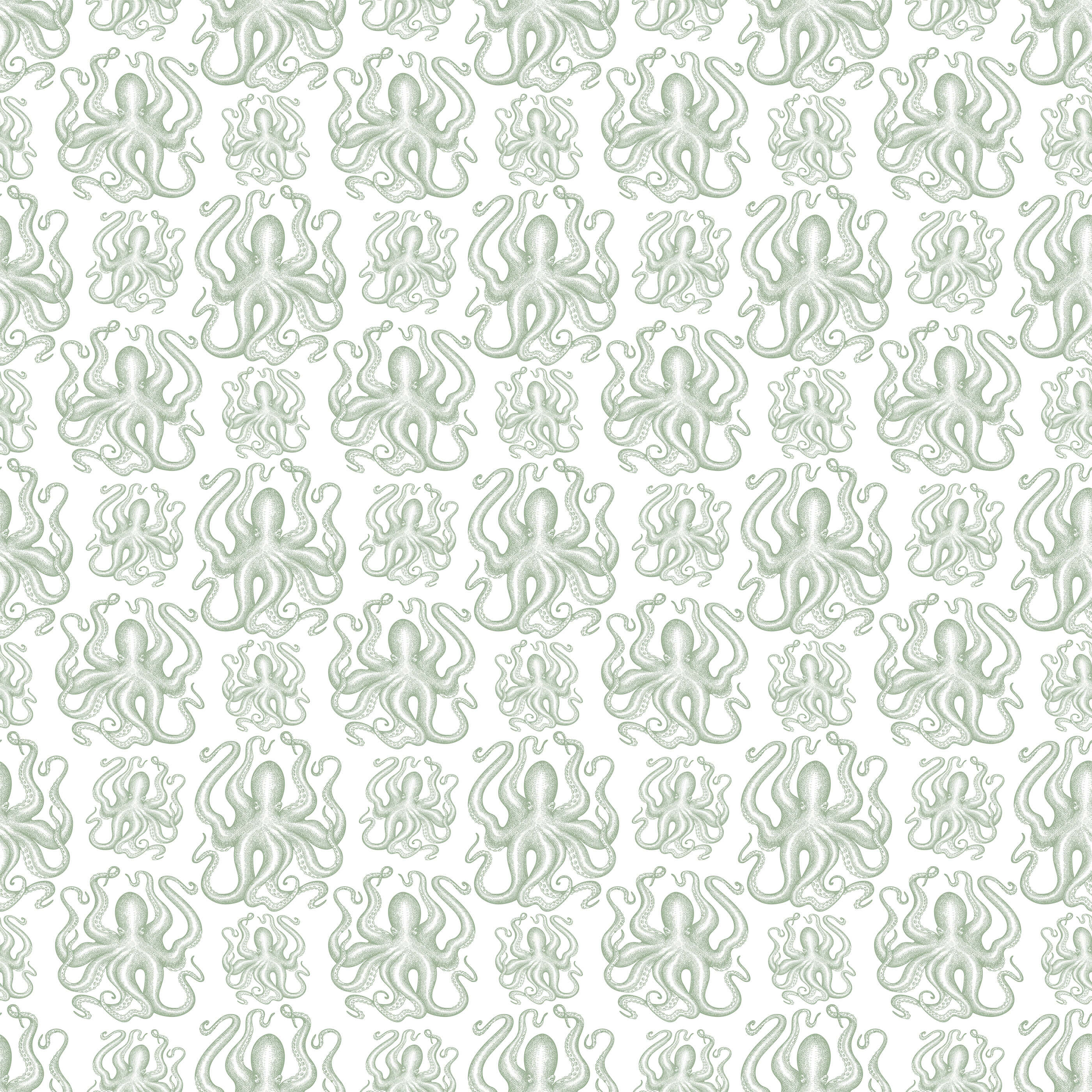 Bobbi Beck Crede Animal Luxury Wallpaper